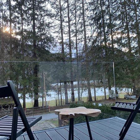 Pine Tree Holiday House Gozd Martuljek Ngoại thất bức ảnh